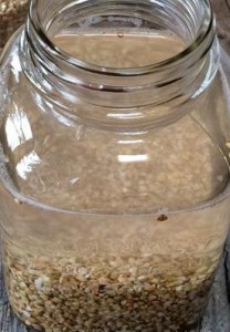 soak buckwheat