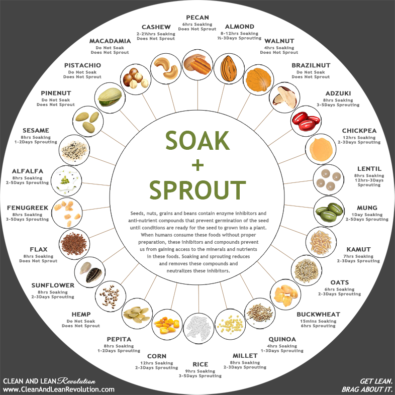 Soak and Sprout Chart