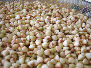 soaked buckwheat