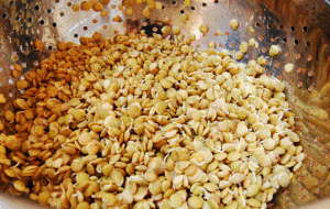 sprouted lentils