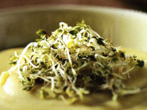 sprouted sesame seeds
