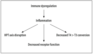 Hashimoto Hypo-Thyroid Clean and Lean Revolution