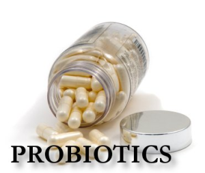 Seattle Nutritionist Probiotics Boost Immune System