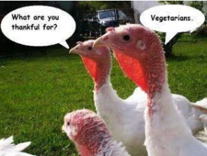 grateful for vegetarians